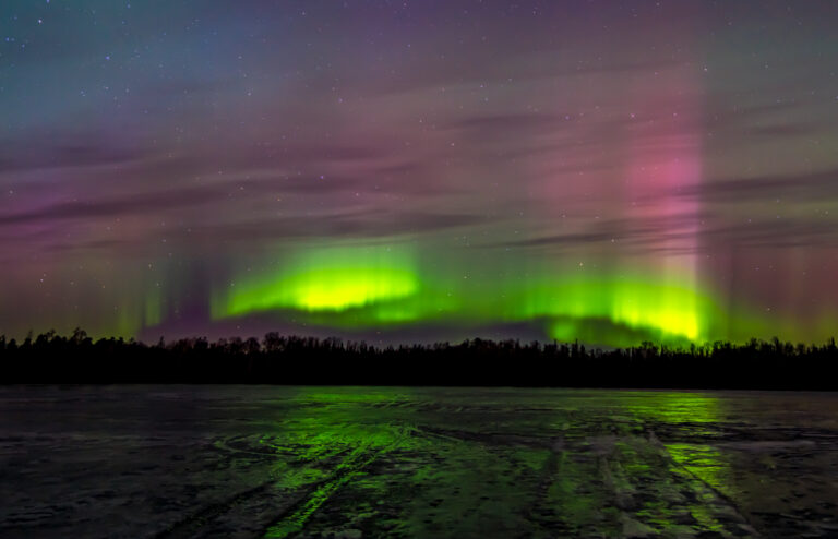 Auroras