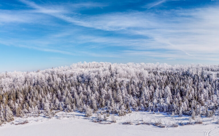 Snow covered hillside