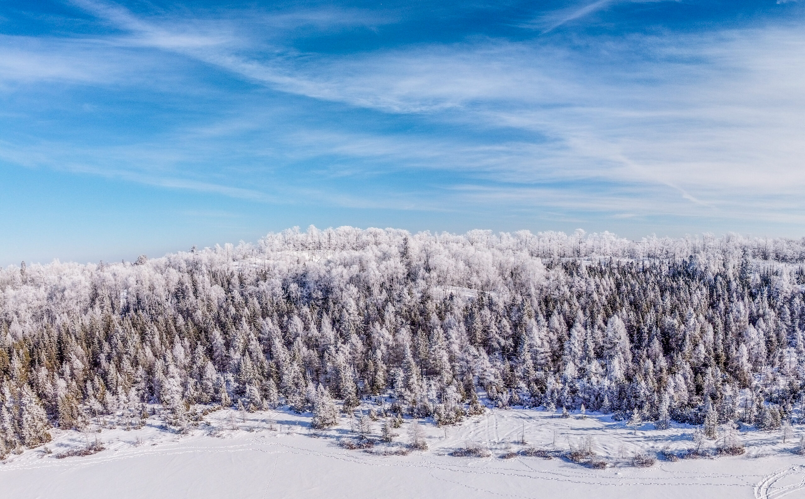 Snow covered hillside