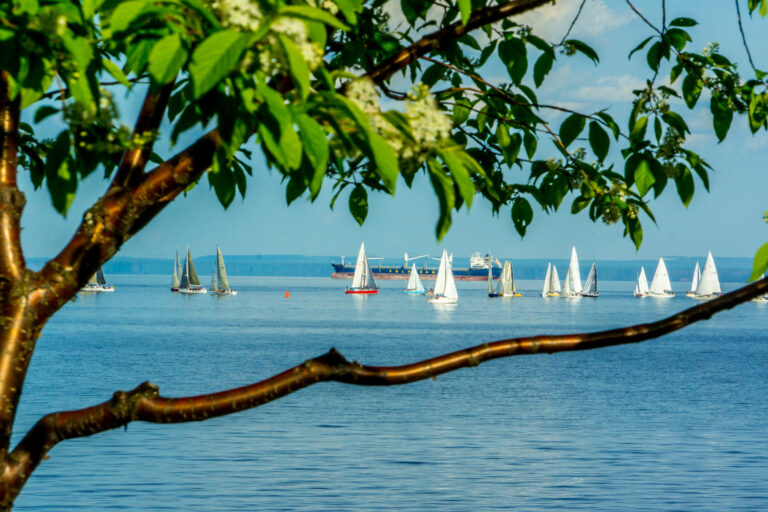 Sailboats