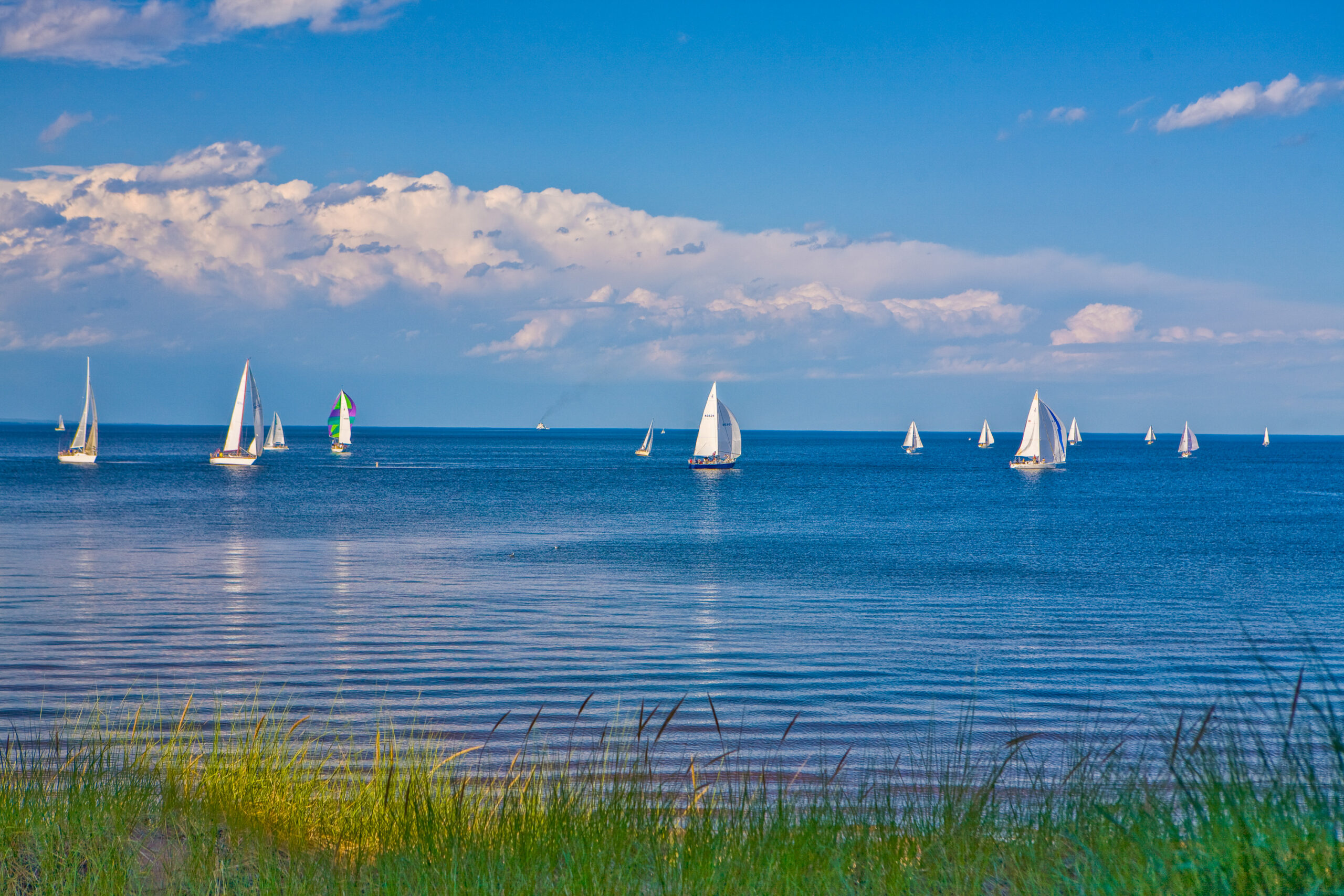Sailboats